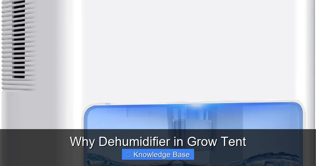 Why Dehumidifier in Grow Tent
