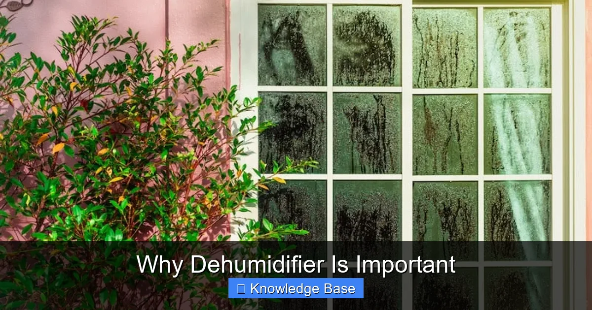 Why Dehumidifier Is Important