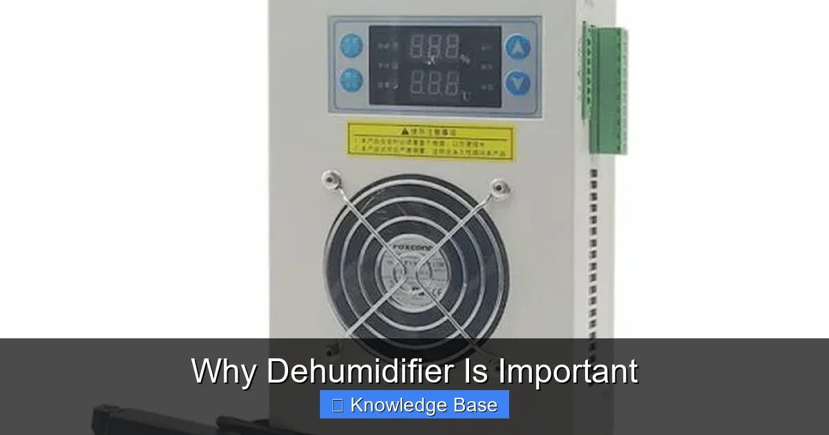 Why Dehumidifier Is Important