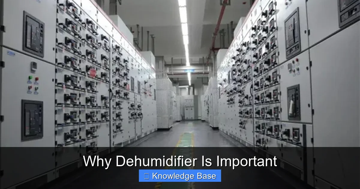 Why Dehumidifier Is Important