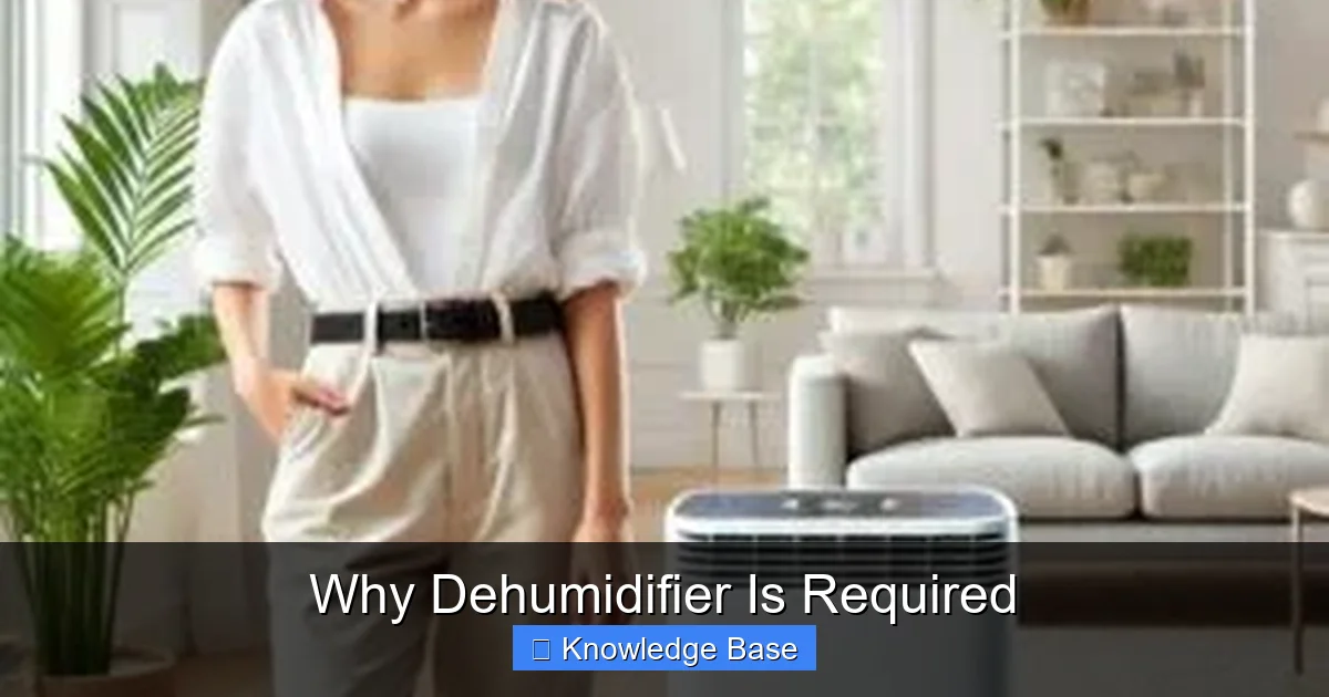 Why Dehumidifier Is Required