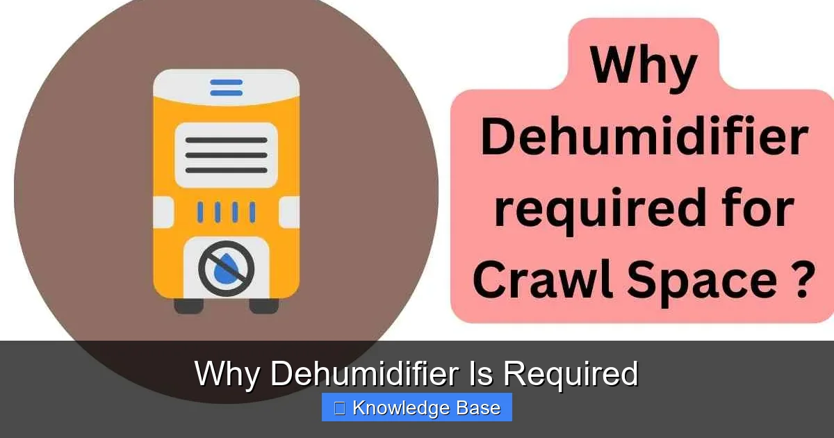 Why Dehumidifier Is Required