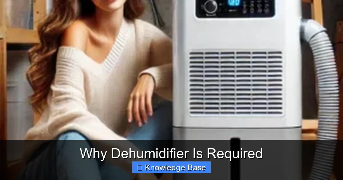 Why Dehumidifier Is Required