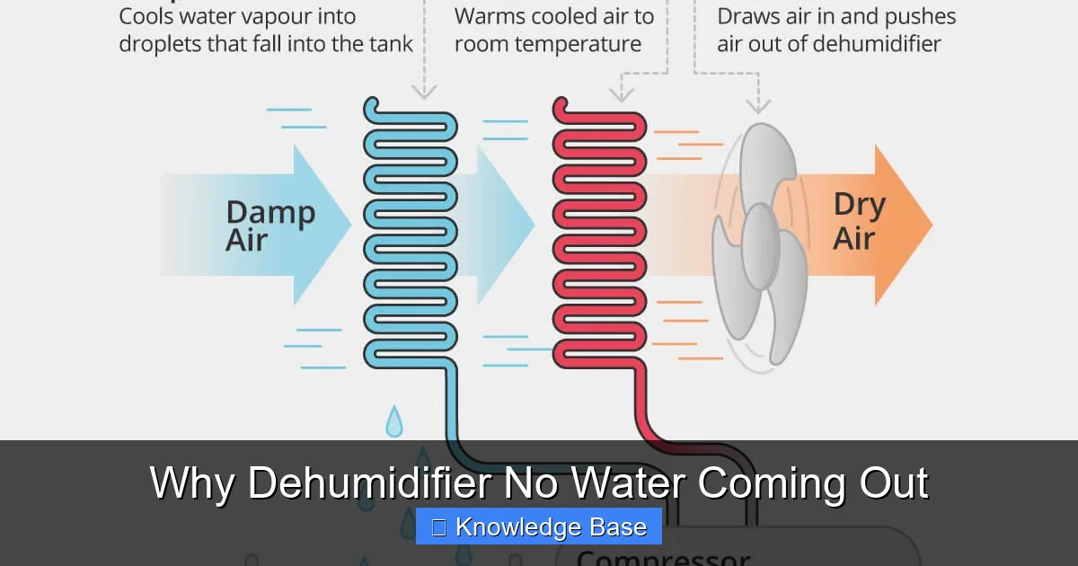 Why Dehumidifier No Water Coming Out