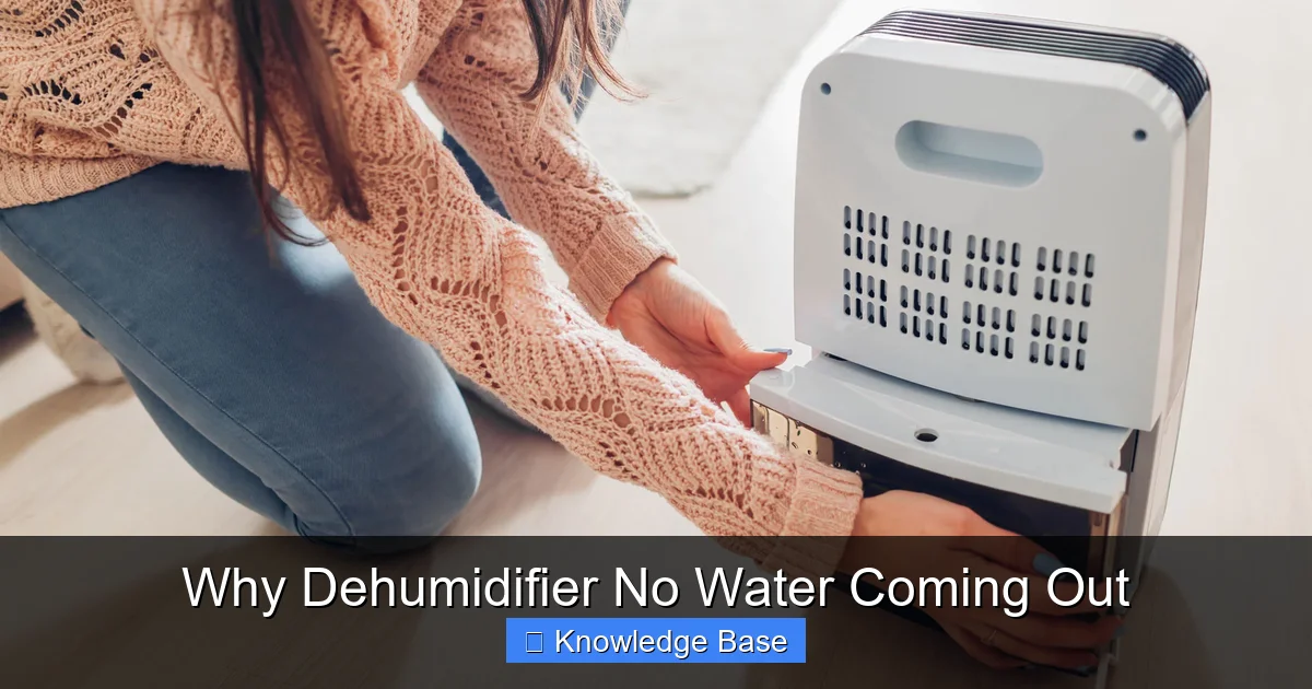 Why Dehumidifier No Water Coming Out