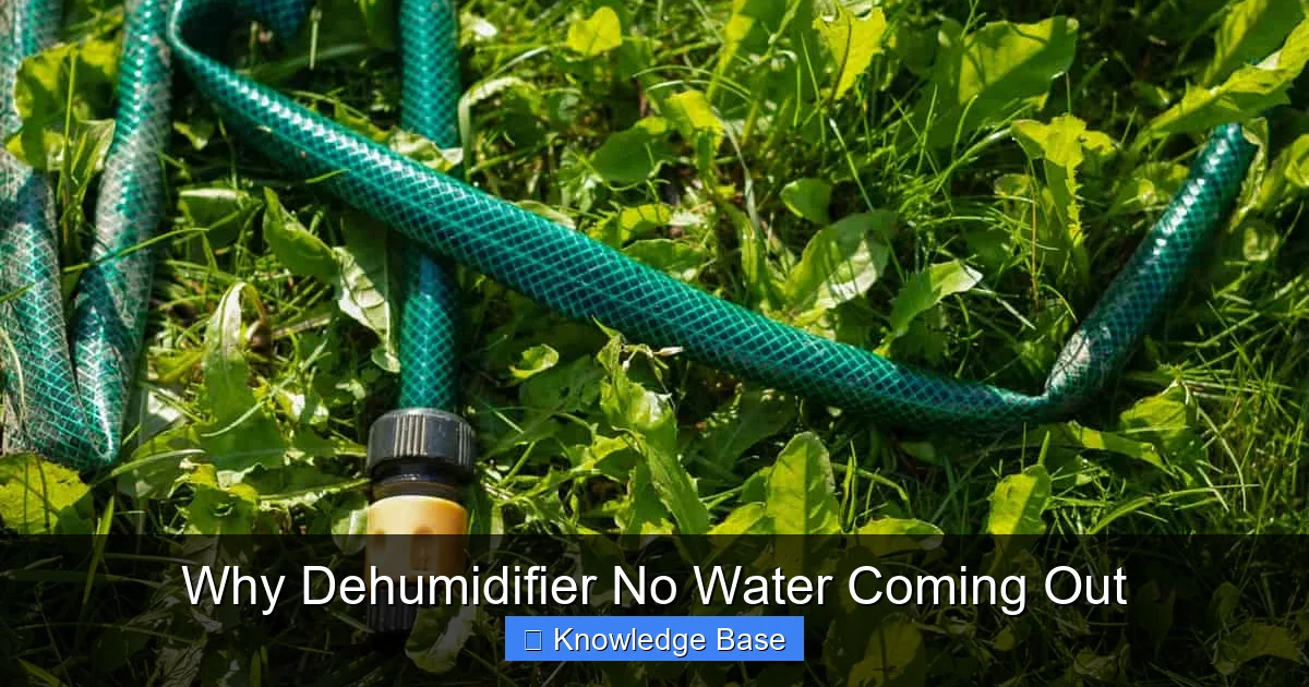 Why Dehumidifier No Water Coming Out