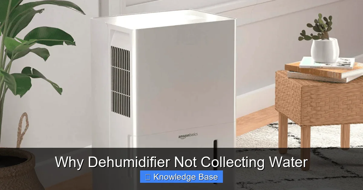 Why Dehumidifier Not Collecting Water