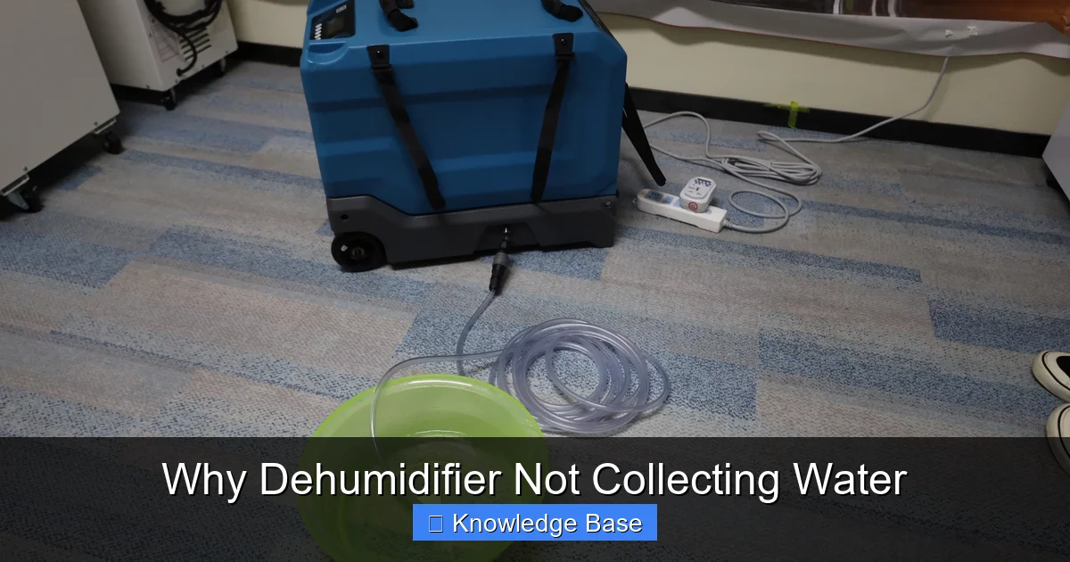 Why Dehumidifier Not Collecting Water