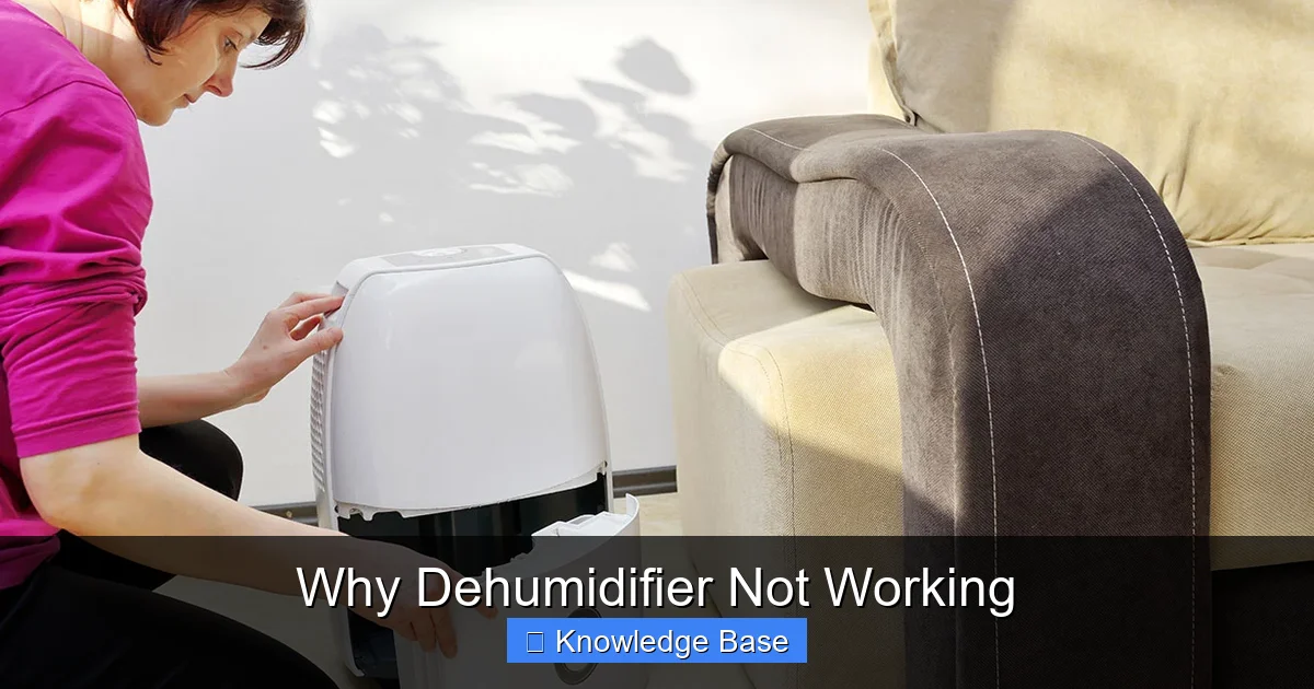 Why Dehumidifier Not Working