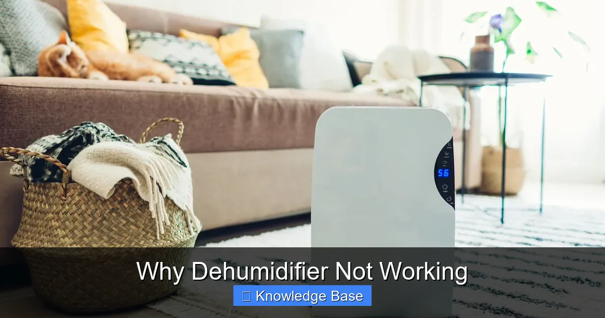Why Dehumidifier Not Working