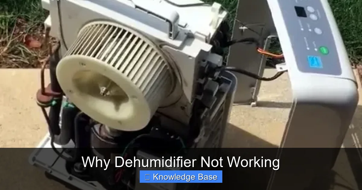 Why Dehumidifier Not Working