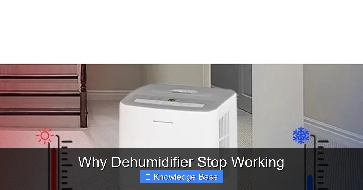 Why Dehumidifier Stop Working