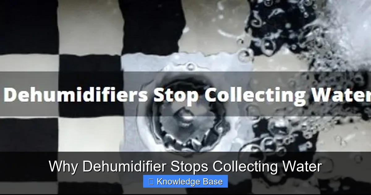 Why Dehumidifier Stops Collecting Water