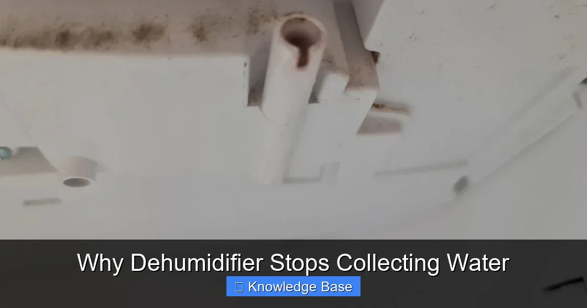 Why Dehumidifier Stops Collecting Water