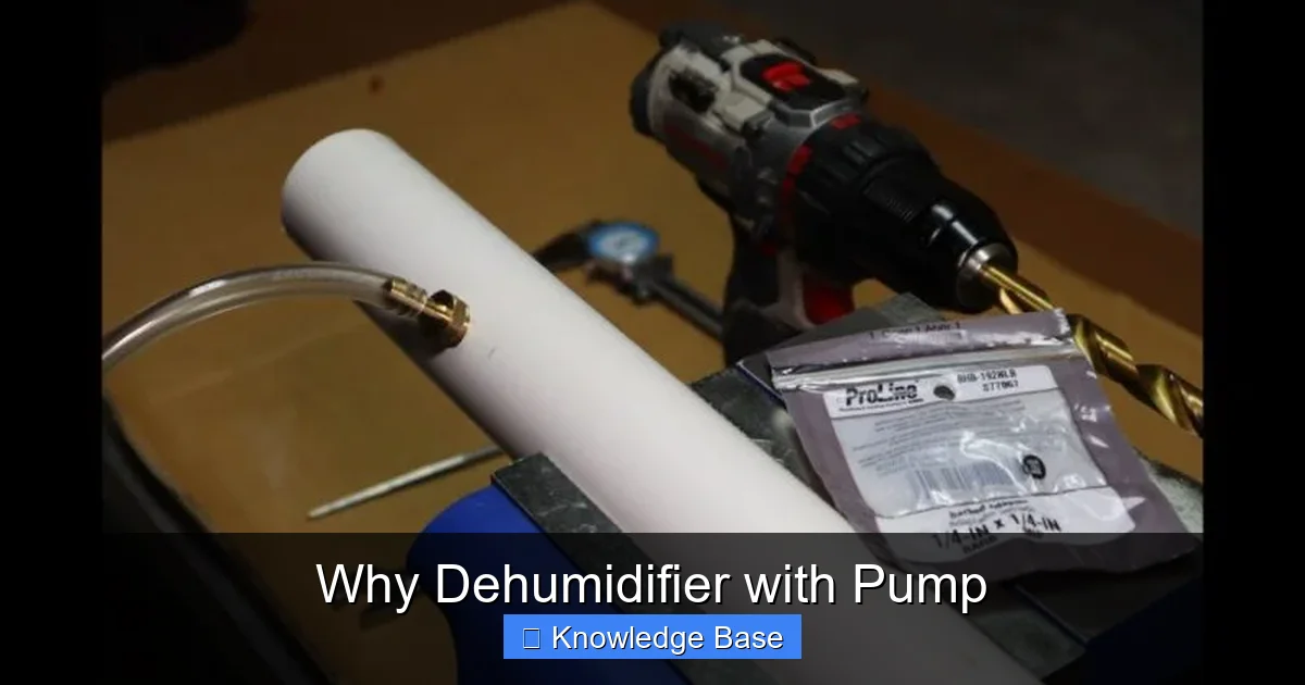 Why Dehumidifier with Pump