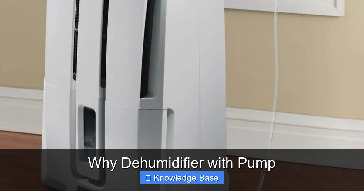 Why Dehumidifier with Pump