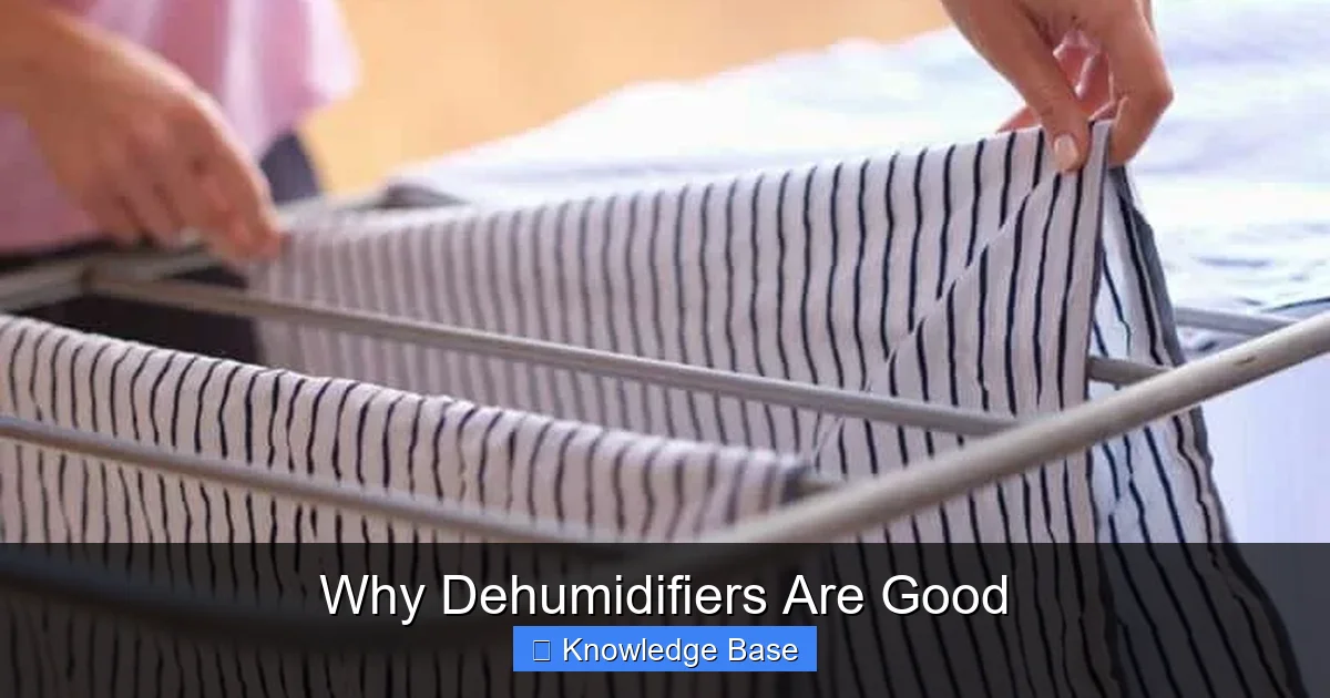Why Dehumidifiers Are Good