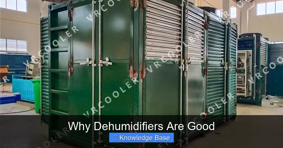Why Dehumidifiers Are Good