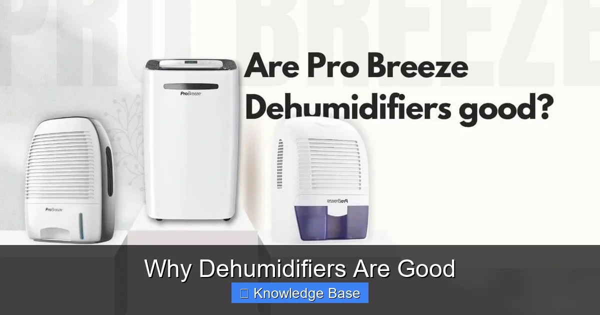 Why Dehumidifiers Are Good