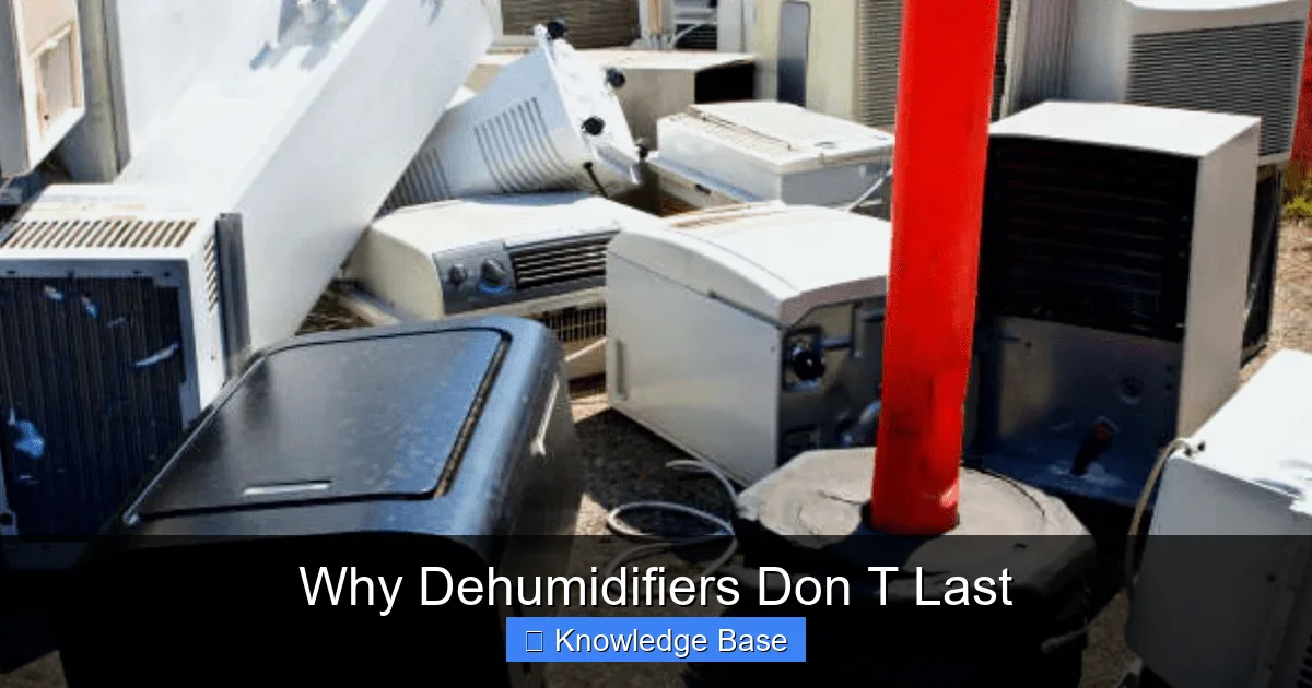 Why Dehumidifiers Don T Last