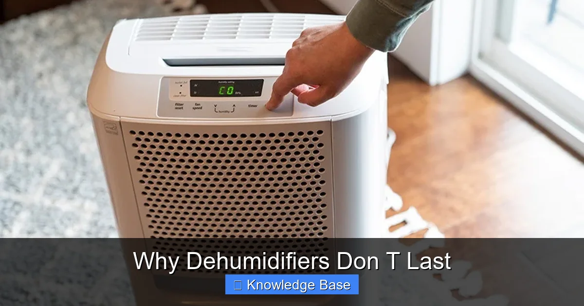 Why Dehumidifiers Don T Last