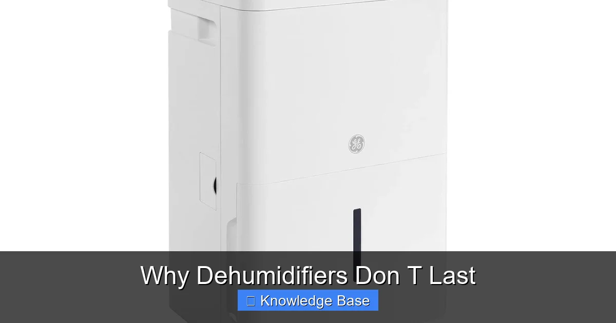 Why Dehumidifiers Don T Last