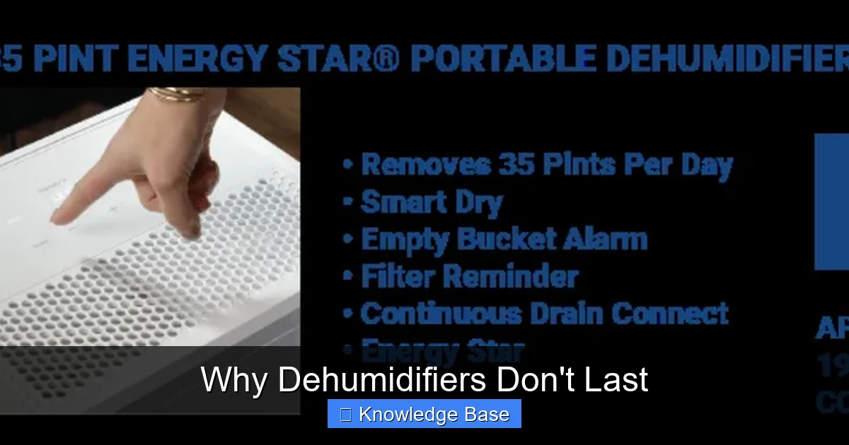 Why Dehumidifiers Don't Last