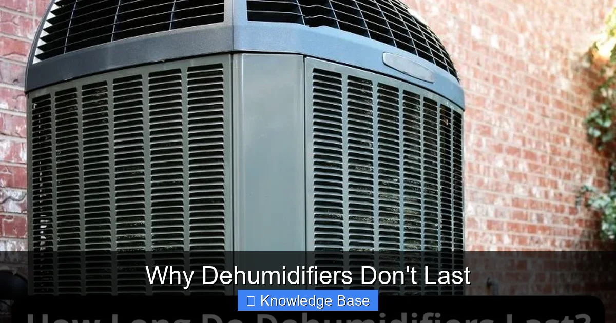 Why Dehumidifiers Don't Last