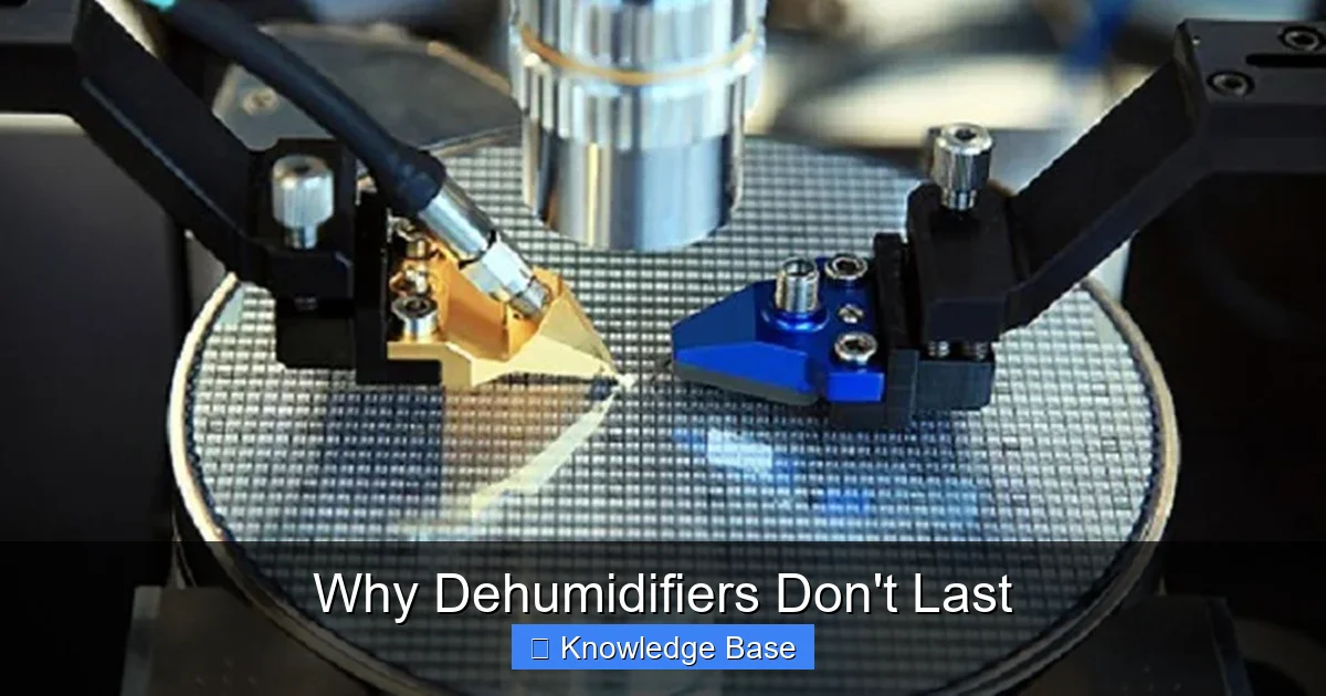 Why Dehumidifiers Don't Last