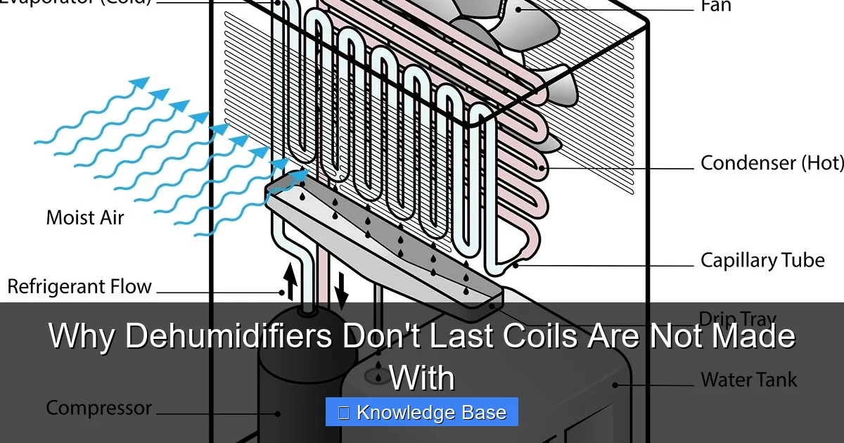 Why Dehumidifiers Don't Last Coils Are Not Made With