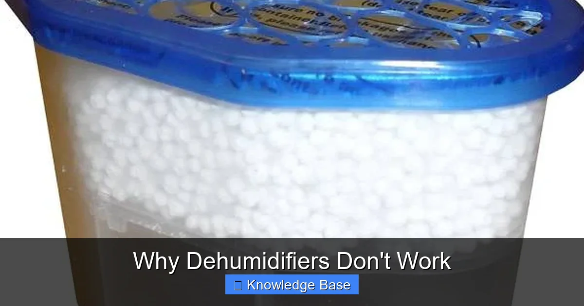 Why Dehumidifiers Don't Work