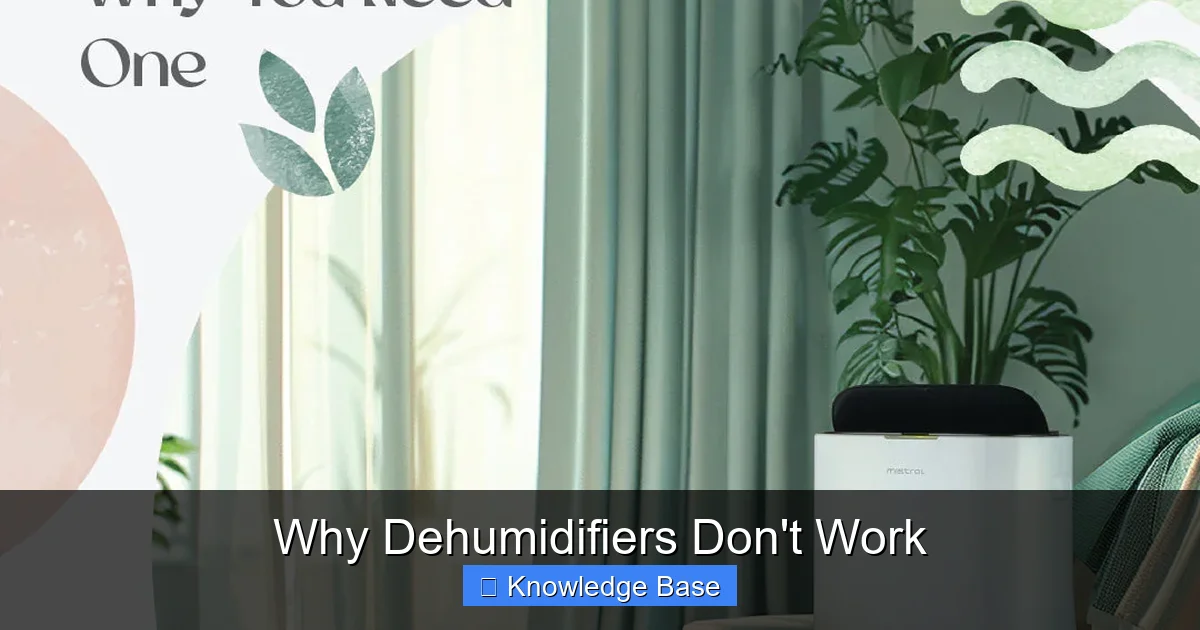 Why Dehumidifiers Don't Work
