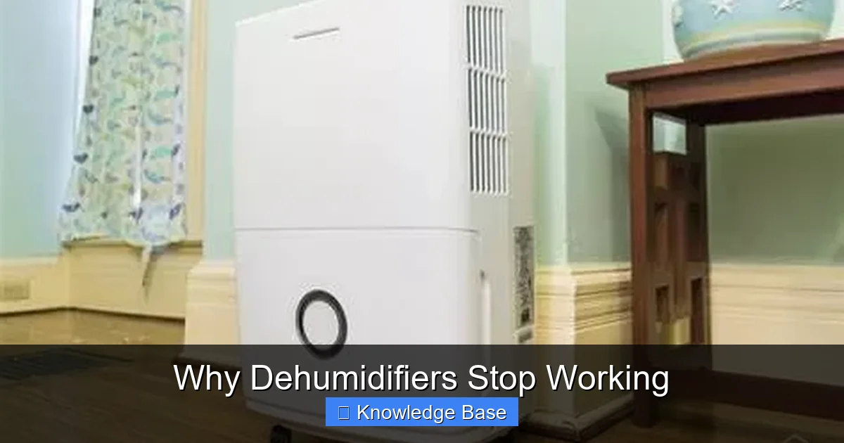 Why Dehumidifiers Stop Working