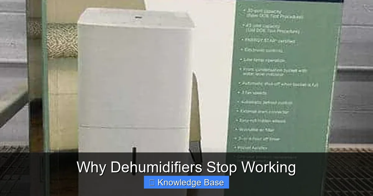 Why Dehumidifiers Stop Working