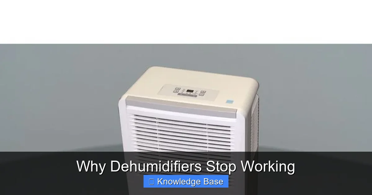 Why Dehumidifiers Stop Working
