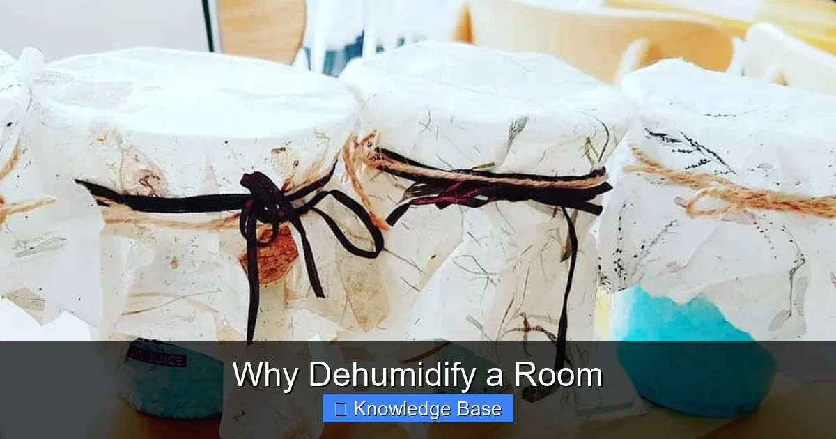 Why Dehumidify a Room