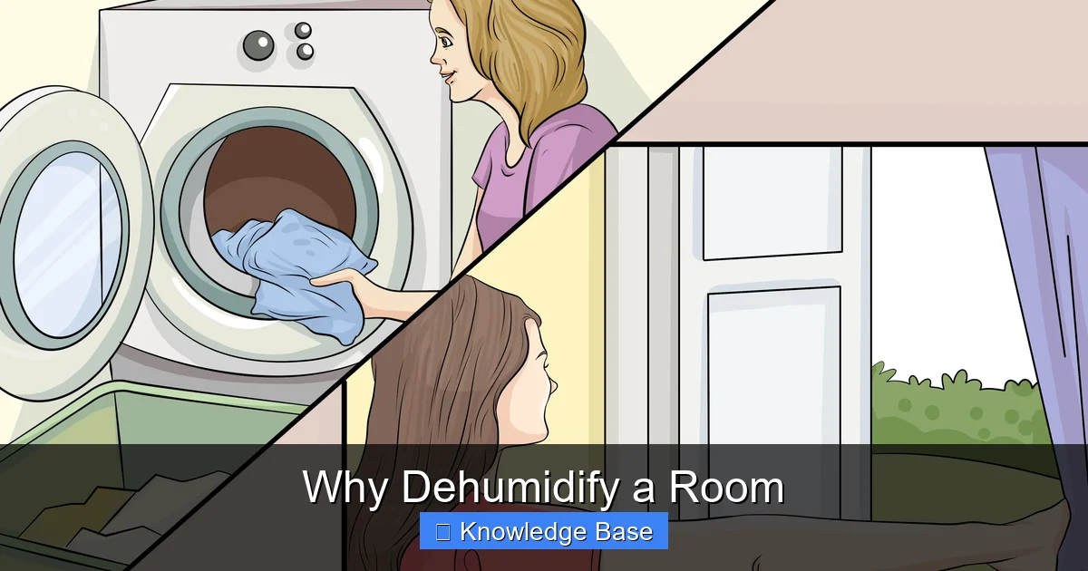 Why Dehumidify a Room