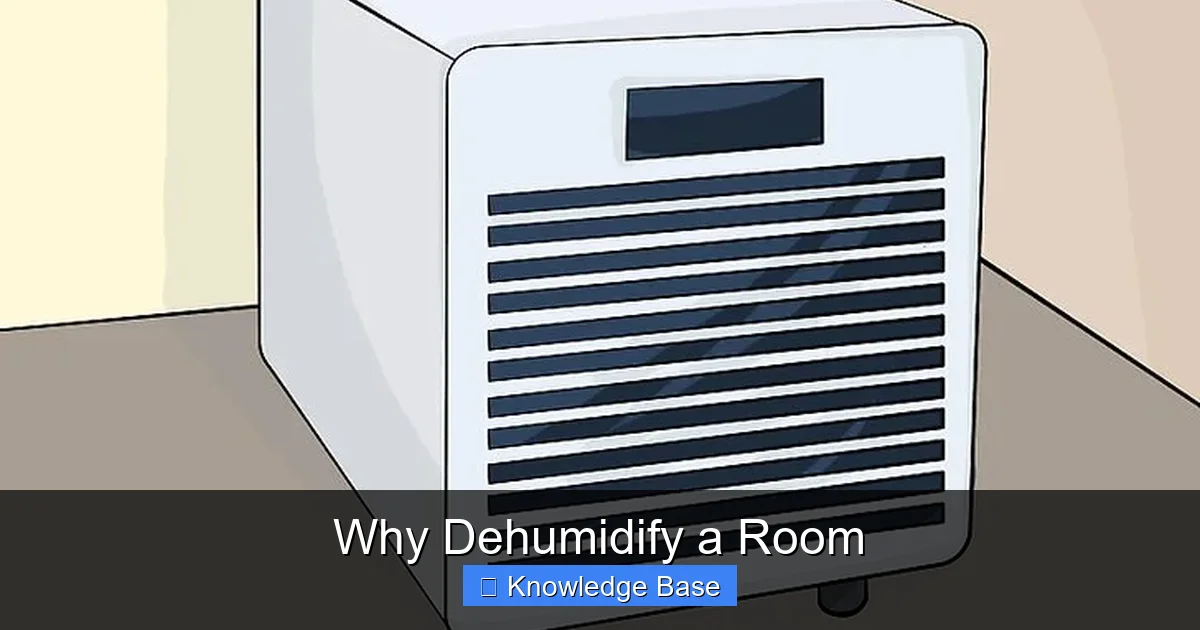 Why Dehumidify a Room