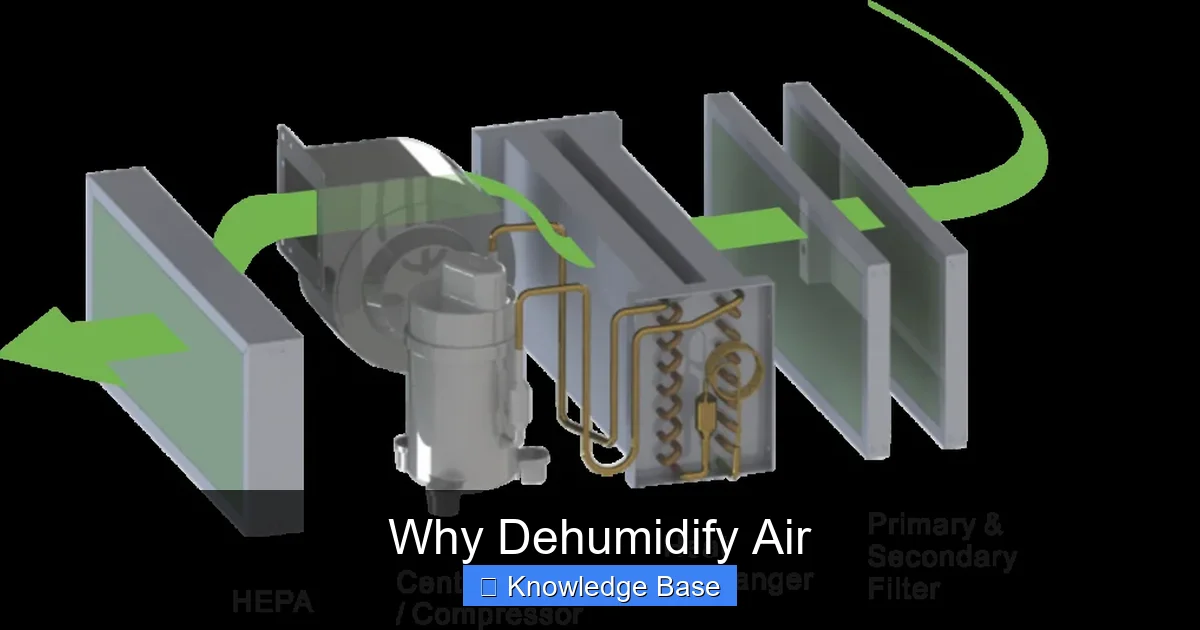 Why Dehumidify Air