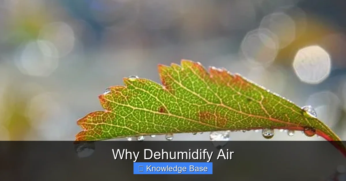 Why Dehumidify Air