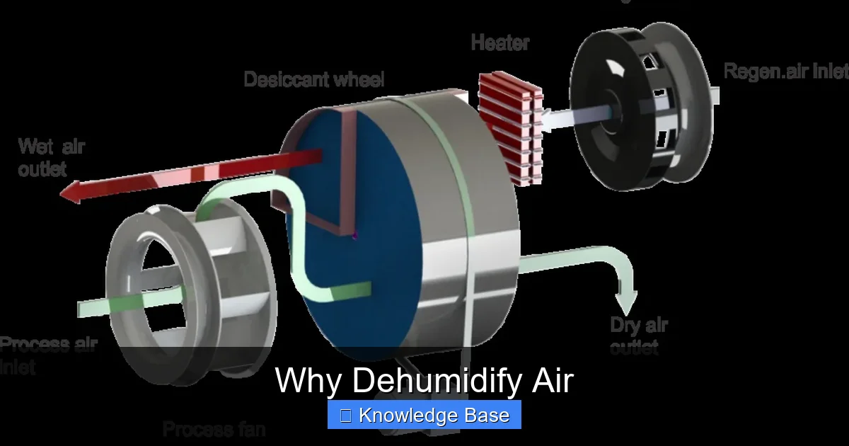 Why Dehumidify Air
