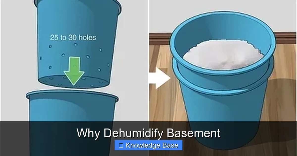 Why Dehumidify Basement
