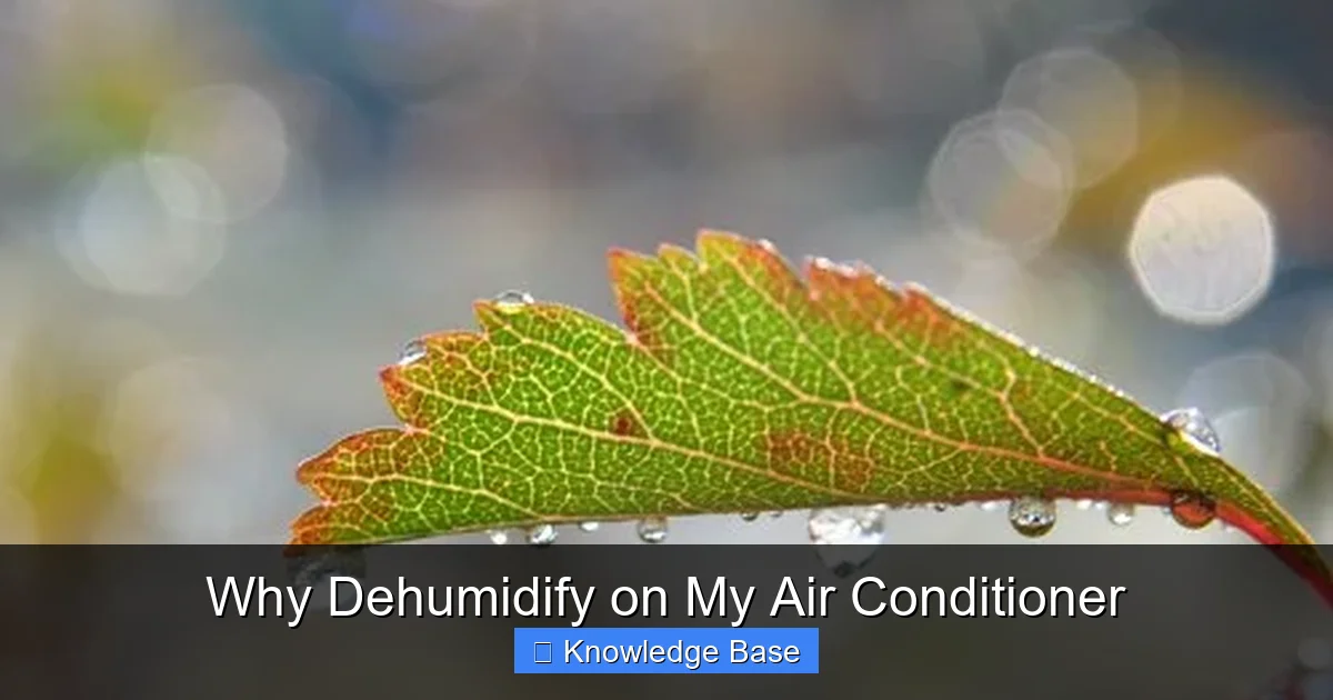 Why Dehumidify on My Air Conditioner