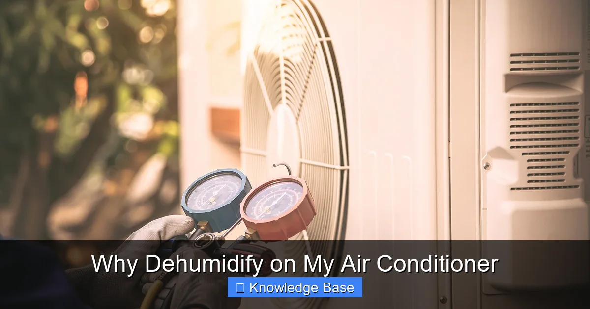 Why Dehumidify on My Air Conditioner