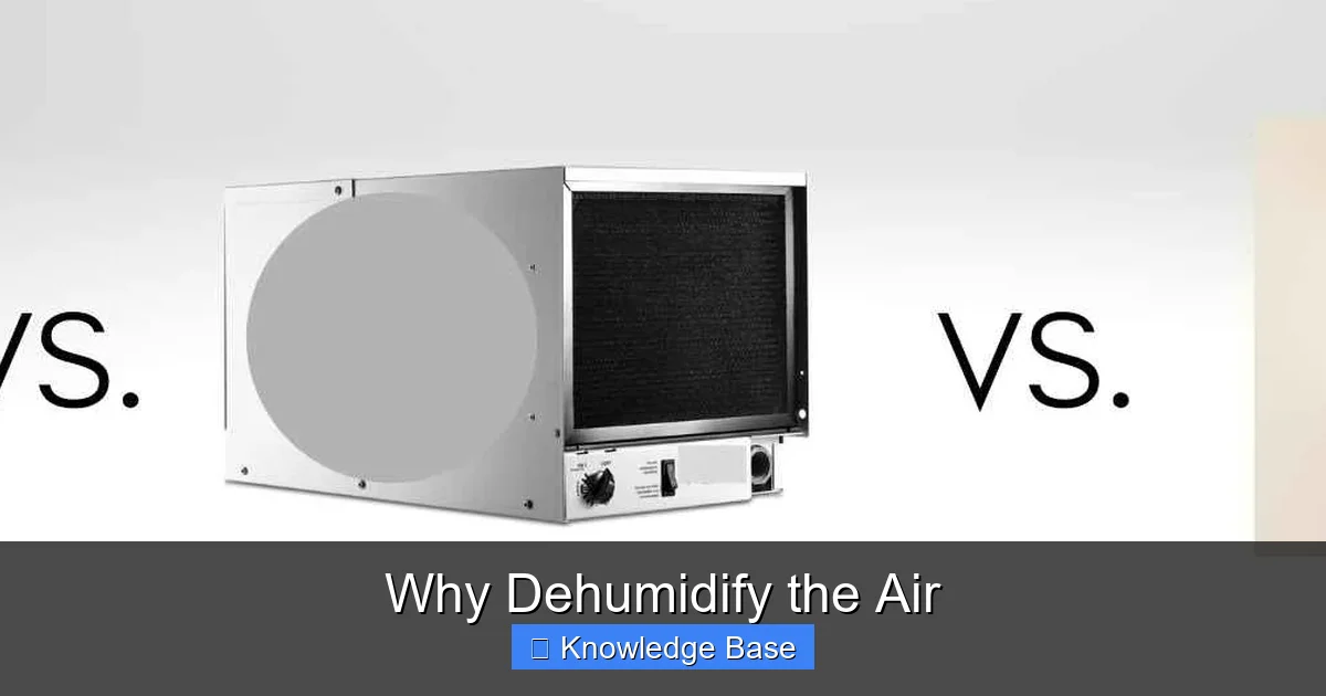 Why Dehumidify the Air