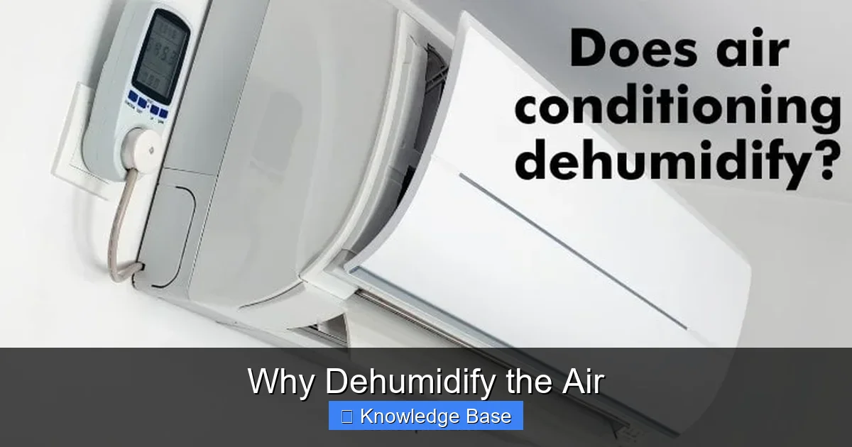 Why Dehumidify the Air