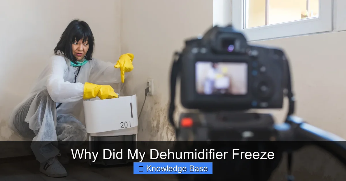 Why Did My Dehumidifier Freeze