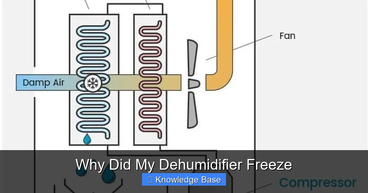 Why Did My Dehumidifier Freeze