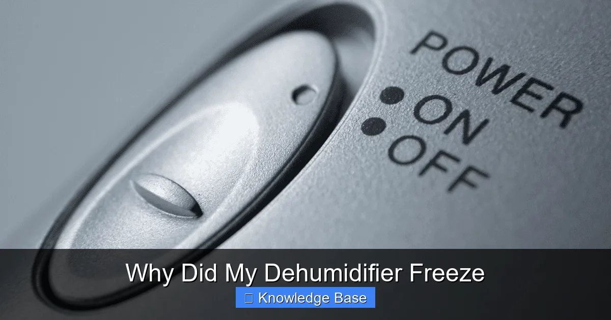 Why Did My Dehumidifier Freeze