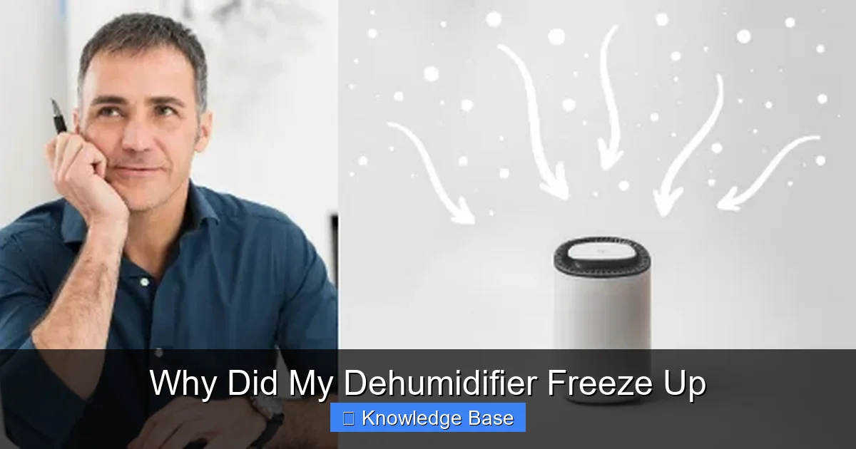 Why Did My Dehumidifier Freeze Up